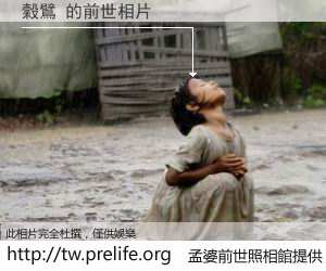 穀鷿 的前世相片