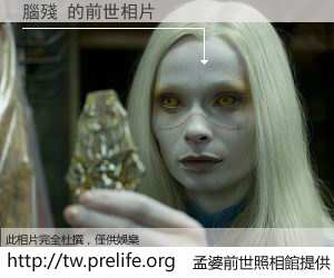 腦殘 的前世相片