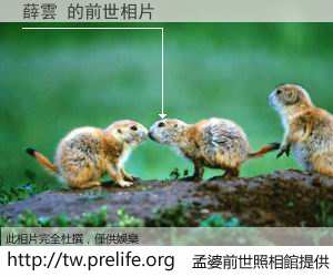 薛雲 的前世相片