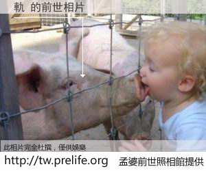 軌 的前世相片