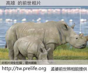 高媴 的前世相片