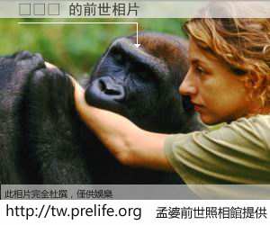 버틀러 的前世相片