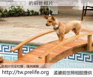 😈 的前世相片