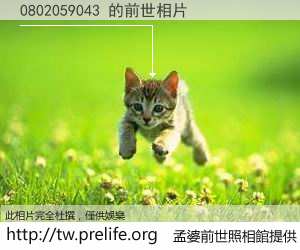 0802059043 的前世相片