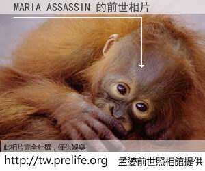 MARIA ASSASSIN 的前世相片