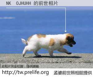 NK  OJHUHH 的前世相片