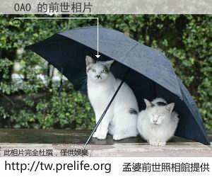 OAO 的前世相片