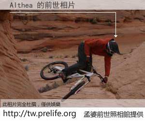 Althea 的前世相片