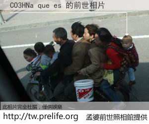 CO3HNa que es 的前世相片