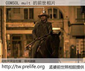 COMSOL mult 的前世相片