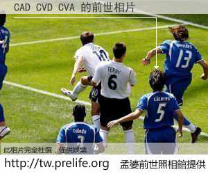 CAD CVD CVA 的前世相片