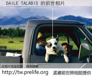 DAILE TALABIS 的前世相片