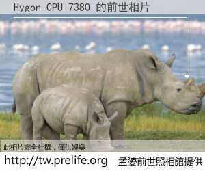Hygon CPU 7380 的前世相片