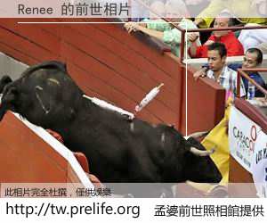 Renee 的前世相片