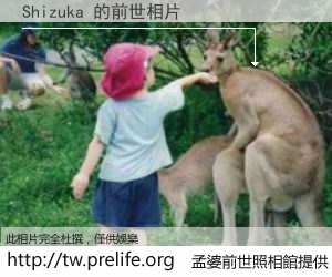 Shizuka 的前世相片