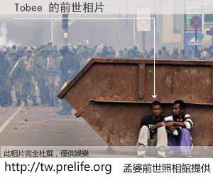 Tobee 的前世相片