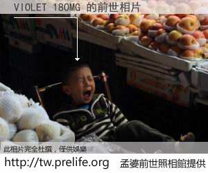 VIOLET 18OMG 的前世相片
