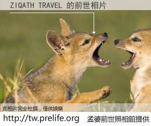 ZIQATH TRAVEL 的前世相片