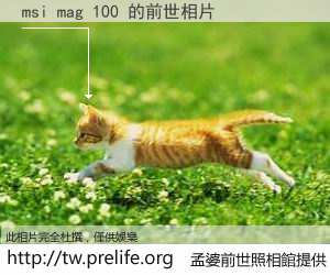 msi mag 100 的前世相片