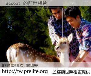 accout 的前世相片