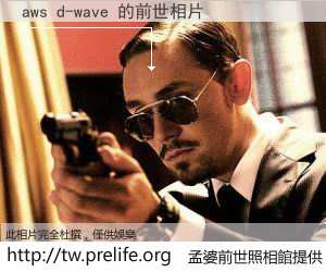 aws d-wave 的前世相片