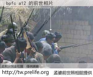 bpfc a12 的前世相片