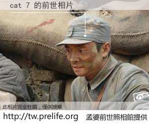 cat 7 的前世相片
