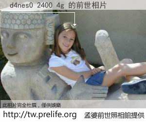 d4nes0 2400 4g 的前世相片