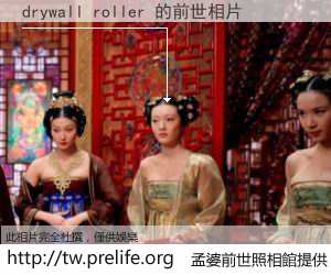 drywall roller 的前世相片