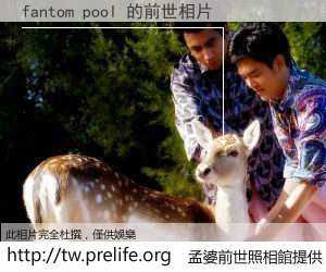 fantom pool 的前世相片