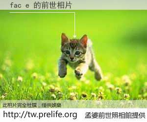 fac e 的前世相片