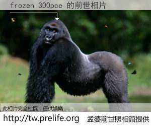 frozen 300pce 的前世相片