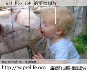 git hub apk 的前世相片