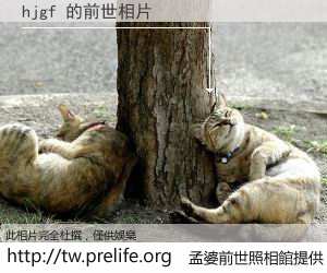 hjgf 的前世相片