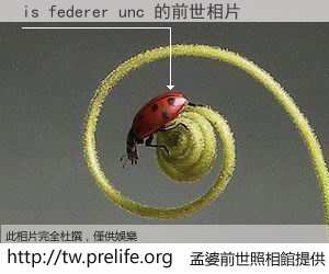 is federer unc 的前世相片