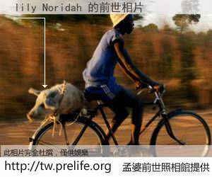 lily Noridah 的前世相片
