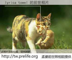 lyrica towel 的前世相片