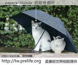 paperwithcode 的前世相片