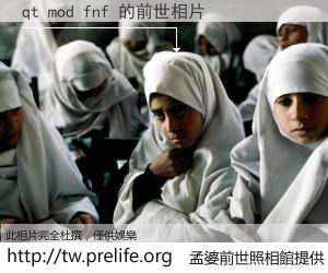 qt mod fnf 的前世相片