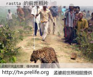 rastta 的前世相片