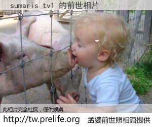 sumaris tv1 的前世相片
