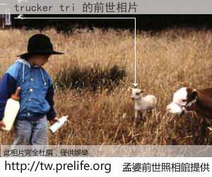 trucker tri 的前世相片