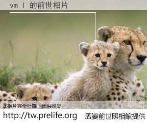 vm l 的前世相片
