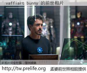 vaffiart bunny 的前世相片