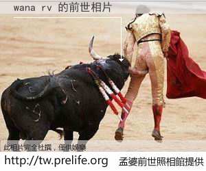 wana rv 的前世相片