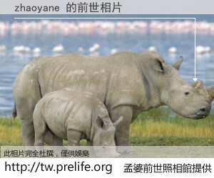 zhaoyane 的前世相片