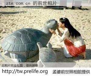 zte.com.cn 的前世相片