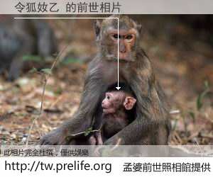 令狐奻乙 的前世相片