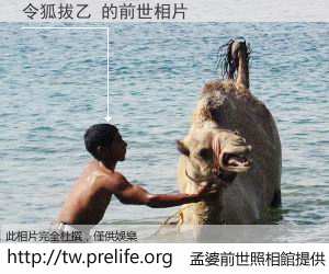 令狐拔乙 的前世相片