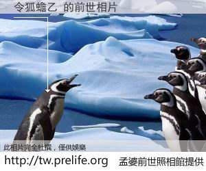 令狐蟾乙 的前世相片